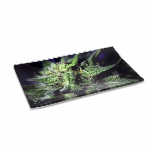 Blue Dream glass rolling tray with raised edges – Online Smoke and Vape