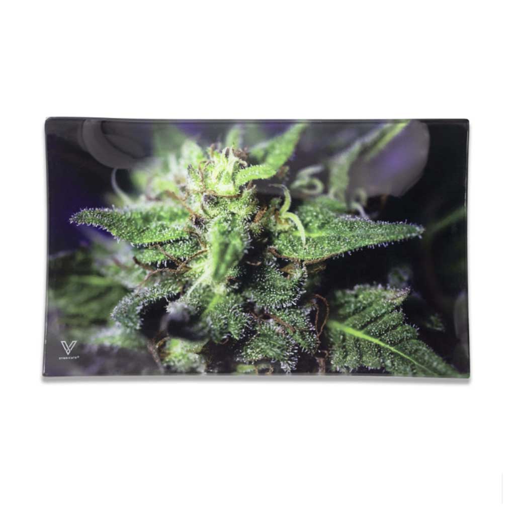 Blue Dream shatter-resistant glass rolling tray, top view – Online Smoke and Vape
